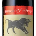 שילה שור ברברה 2023