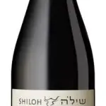 שילה איתי