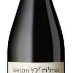 שילה עדינו