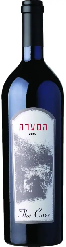 המערה 2021 – תמונה 1