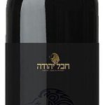 חבל יהודה עמינדב 2021
