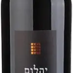 בנימינה אבני החושן יהלום 2020