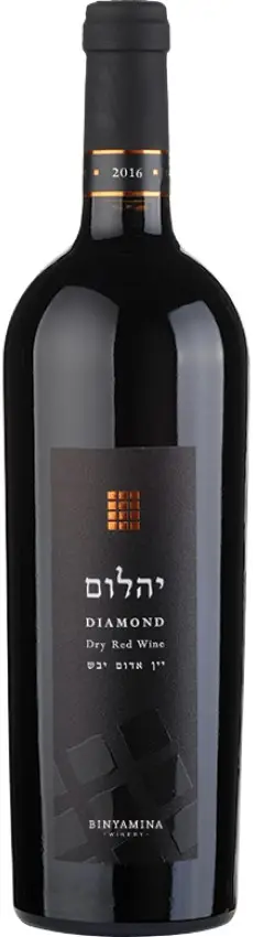 בנימינה אבני החושן יהלום 2020 – תמונה 1
