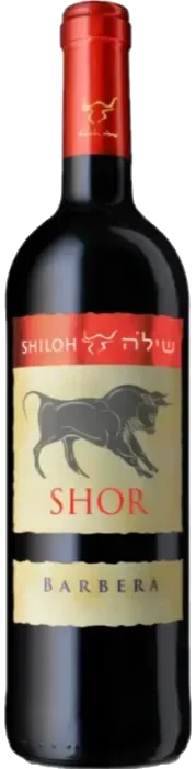 שילה שור ברברה 2023