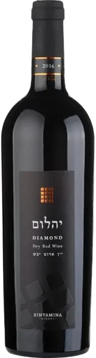 בנימינה אבני החושן יהלום 2020