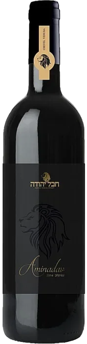 חבל יהודה עמינדב 2021