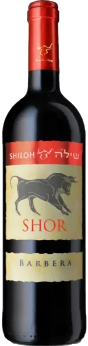 שילה שור ברברה 2020